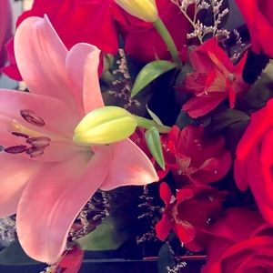 Meet your Posher, Caroline